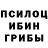 Галлюциногенные грибы Psilocybe ANTOSHKA BOT