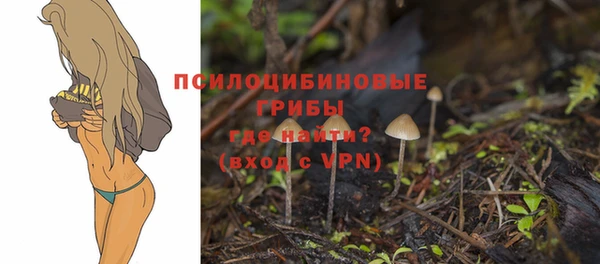 героин Алексин