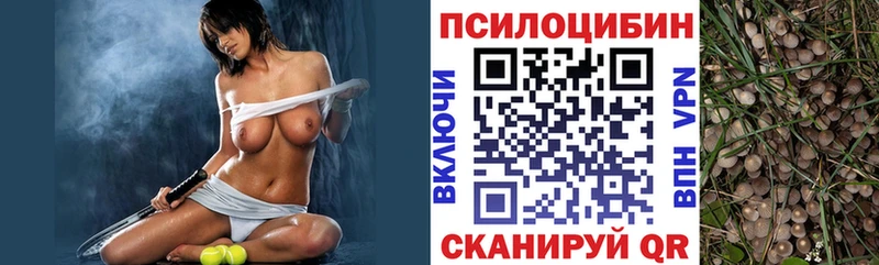 Псилоцибиновые грибы прущие грибы  Полтавская 